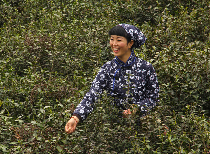 致命香烟